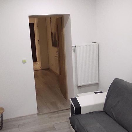 City Center Apartment 45M, 1 Bedroom And 1 Living Room With Kitchen Plus Bathroom, A Perfect Family Friendly Place Or For Home Office And A Longer Stay, A Proper Office Desk With Business Chair Provided, 100M From Market Square And Vistula River Grudziądz Esterno foto